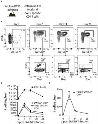 Polymicrobial Sepsis Impairs Antigen-Specific Memory CD4 T Cell-Mediated Immunity